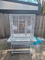 Keddoc vogelkooi alaska, Dieren en Toebehoren, Ophalen, Gebruikt, Metaal, Vogelkooi