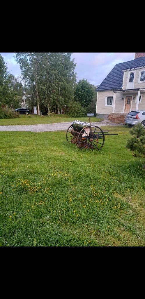 Paard getrokken zaaier patina decoratie, Antiek en Kunst, Antiek | Gereedschap en Instrumenten, Ophalen