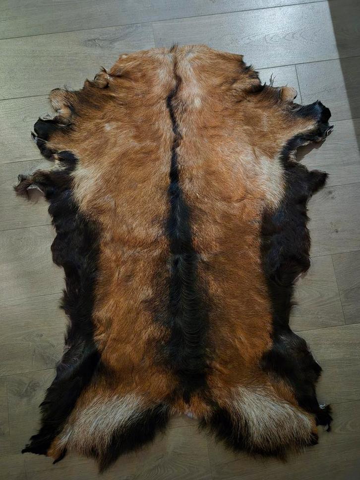 Geitenhuid - Gebruikt, maar netjes!, Huis en Inrichting, Stoffering | Tapijten en Kleden, Gebruikt, 50 tot 100 cm, Rechthoekig