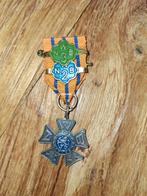 Avond4daagse medaille NWB, Ophalen of Verzenden, Overige materialen, Nederland