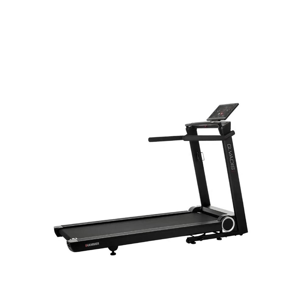 HAMMER – Q. VADIS 10.0 – LOOPBAND