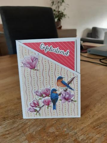 Scrap-Gefeliciteerd(219) beschikbaar voor biedingen