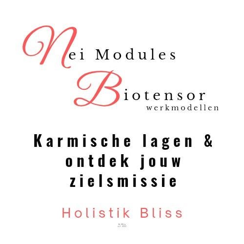 Nei en biotensor werkmodellen/modules, Boeken, Studieboeken en Cursussen, HBO, Beta, Ophalen of Verzenden