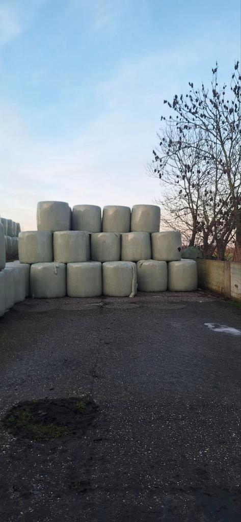 hooi / kuilbalen geschikt voor paarden, Dieren en Toebehoren, Dierenvoeding, Ophalen of Verzenden