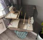 Vogels kooi, Parkiet