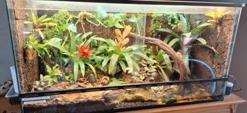 Terrarium gezocht.  beschikbaar voor biedingen