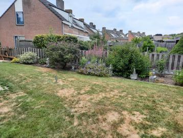 Gratis: Ca 18 meter lage hout beton schutting ca 115 cm hoog beschikbaar voor biedingen