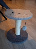 Krabpaal kitten, Ophalen, Krabpaal