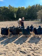 Doorlopend op zoek naar tweedehands zadels, Dressuur, Geen, Ophalen of Verzenden, Wintec