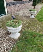 Sierlijke betonnen tuinvazen, bloempotten, bloembakken, Nieuw, Ophalen