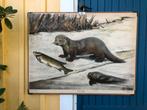 Diverse vintage Zweedse schoolplaten met dieren Nils Tiren, Ophalen, Natuur en Biologie