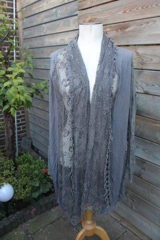 MAIS IL EST OU LE SOLEIL Vest grijs kant mt XL Vast OPRUIMIN, Kleding | Dames, Truien en Vesten, Zo goed als nieuw, Maat 46/48 (XL) of groter