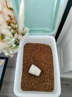 Puppy brokken 10 kg van Sjef cuisine, Dieren en Toebehoren, Ophalen, Hond