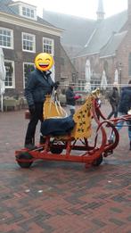 Arrenslee, Dieren en Toebehoren, Ophalen, Zo goed als nieuw, Overige soorten
