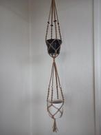 Plantenhanger 6, Ophalen, Halfschaduw, Minder dan 100 cm