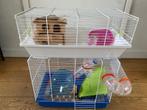 Hamsterkooi, Kooi, Minder dan 75 cm, Minder dan 60 cm, Gebruikt