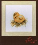 Cado marjolein bastin borduurpakket, chick 384, Ophalen of Verzenden, Nieuw, Handborduren, Borduurpakket