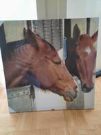 Canvas schilderij paard, Ophalen, Nieuw, Schilderij, 50 tot 75 cm