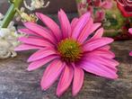 Partij nieuwe kunstbloemen/ roze/ bloemstuk/ versiering, Binnen, 3811JM, Info@rodebeagle.nl, Rode Beagle Kunstbloemen
