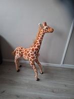 Grote Knuffel Giraffe., Kinderen en Baby's, Speelgoed | Knuffels en Pluche, Ophalen of Verzenden, Zo goed als nieuw, Overige typen
