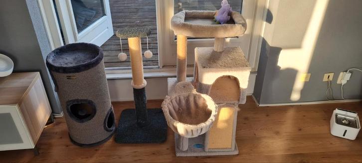 KATTENACCESSOIRES IN SET, Dieren en Toebehoren, Knaagdieren en Konijnen | Toebehoren, Zo goed als nieuw, Ophalen