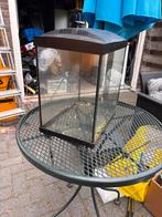 Aquarium zelf effe schoonmaken, Ophalen of Verzenden, Gebruikt, Leeg aquarium