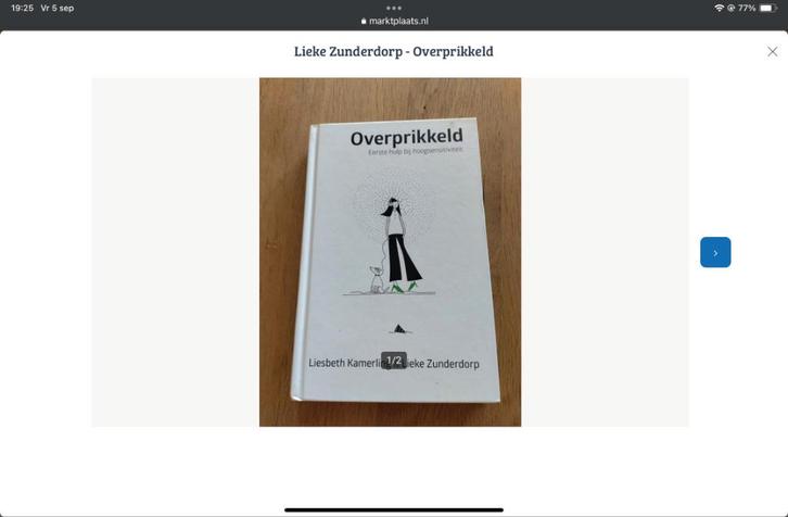 Boek Lieke Zunderdorp - Overprikkeld, Boeken, Psychologie, Zo goed als nieuw, Ophalen of Verzenden