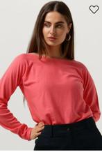 Bellamy prachtige nieuwe roze trui maat XL, Nieuw, Maat 42/44 (L), Bellamy, Ophalen of Verzenden