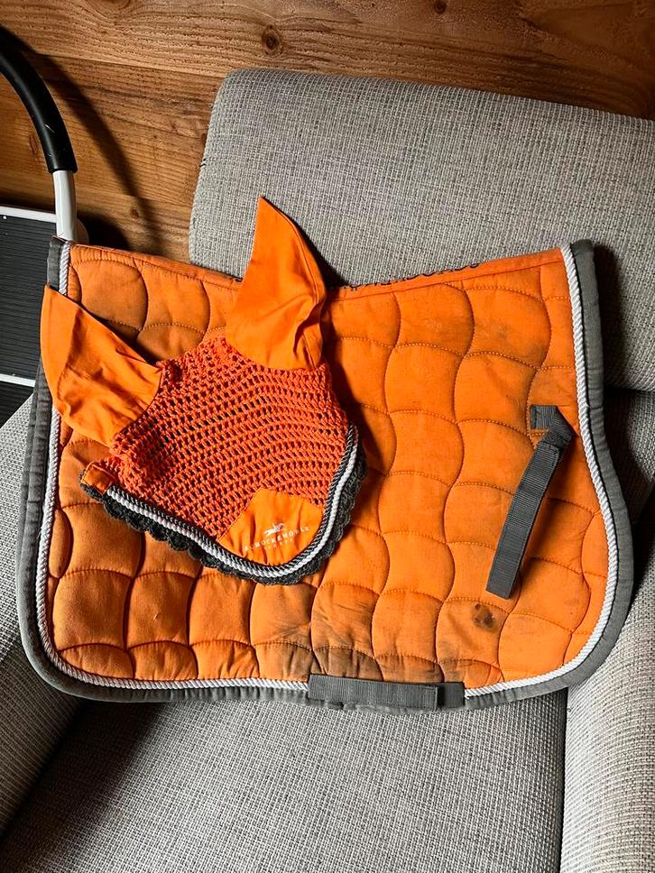 Oranje Halloween Full Schockemohle setje, Dieren en Toebehoren, Paarden en Pony's | Dekens en Dekjes, Nieuw, Dekje, Ophalen of Verzenden