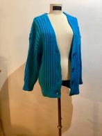 Mango Vest zee blauw cardigan S 36/38 trui knitwear acryl, Kleding | Dames, Truien en Vesten, Maat 38/40 (M), Mango, Blauw, Ophalen of Verzenden