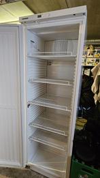 Professionele Liebherr koelkast FKv4140 346 liter, Witgoed en Apparatuur, Ophalen, Zonder vriesvak, 200 liter of meer, 60 cm of meer