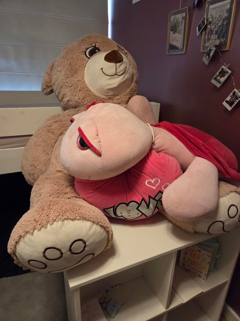 Grote Knuffelbeer en Schildpad Knuffel, Ophalen of Verzenden, Gebruikt, Beer