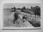 L46 Vaals - Groeten van Neerland's Top - 1954, Verzenden, 1940 tot 1960, Gelopen, Limburg