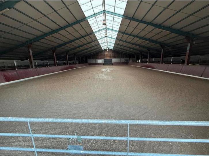 Stal hulp gezocht, Dieren en Toebehoren, Stalling en Weidegang, Opfok, Stalling, Weidegang, Toebehoren, 4 paarden of pony's of meer