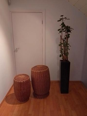 Rotan Manden Set beschikbaar voor biedingen