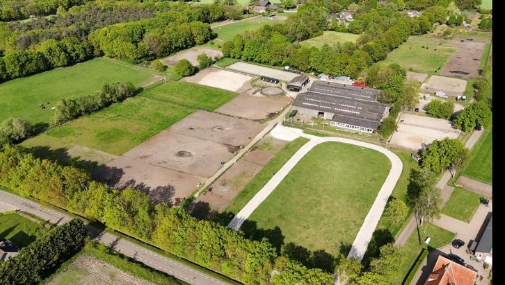 Pensionstalling beschikbaar- Half pension – Loon op Zand, Dieren en Toebehoren, Stalling en Weidegang, Stalling, Weidegang, 4 paarden of pony's of meer