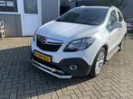 Opel Mokka Frontbar Citybar RVS, Ophalen