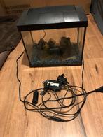 Aquarium, Ophalen, Zo goed als nieuw, Leeg aquarium