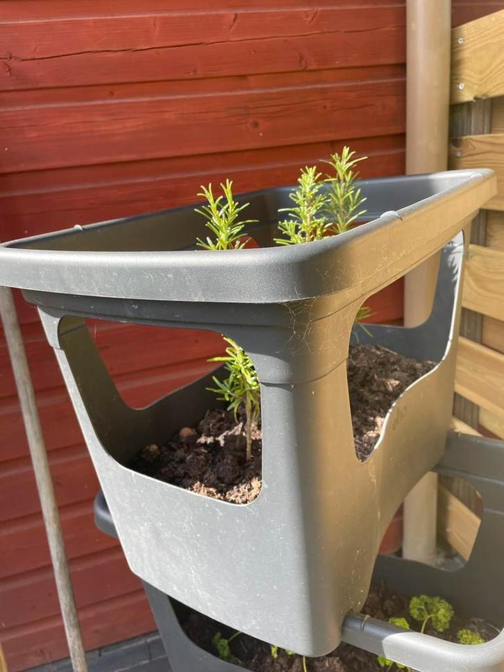 Elho stapelbare kweekbak - 1 stuks, Tuin en Terras, Kweekspullen, Zo goed als nieuw, Kweekbak, Ophalen