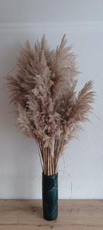 Pampas pluimen decoratie (excl. vaas), Ophalen, Zo goed als nieuw