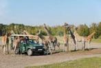 30% korting pp Safaripark Beekse Bergen (max. 4 personen), Drie personen of meer, Kortingskaart