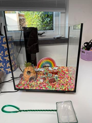 Vissen aquarium beschikbaar voor biedingen