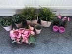 Te koop mooie roze woonaccessoires, Ophalen of Verzenden, Zo goed als nieuw