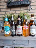 5 flessen  bier, Ophalen of Verzenden, Flesje(s), Overige merken