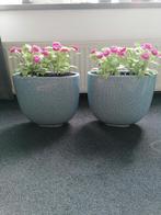 Twee gevulde bloempotten, Tuin en Terras, Bloempotten, Ophalen, Rond, Zo goed als nieuw, Aardewerk