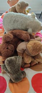 Diverse knuffels, Ophalen, Zo goed als nieuw, Stoffen beer, Overige merken
