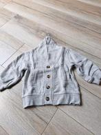 Grijs net vest met knopen Maat 74 h, Kinderen en Baby's, Babykleding | Maat 74, Truitje of Vestje, Dopodopo, Onbekend, Ophalen of Verzenden