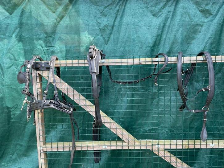 Mentuig van tjeu van de meulen graaf, Tickets en Kaartjes, Overige Tickets en Kaartjes, Eén persoon