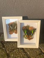 Opgezette vlinders in lijsten, Huis en Inrichting, Ophalen of Verzenden, Hout, Minder dan 50 cm
