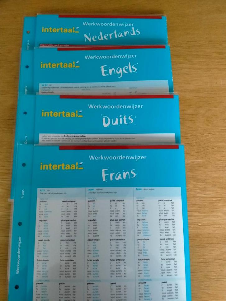 Werkwoorden Taakkaarten - Zo Goed Als Nieuw!, Boeken, Studieboeken en Cursussen, Zo goed als nieuw, Niet van toepassing, Beta